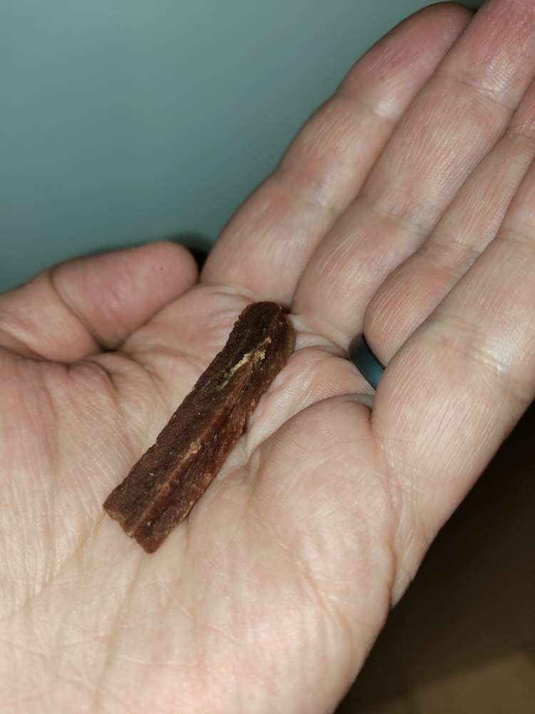 Giftköder-Fremdes Hundeleckerli auf Grundstück-Profilbild