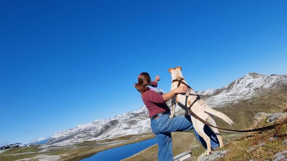 Hundetreffen-🌳🏞❄️🌞🌲Wandern🏞❄️🌞-Profilbild