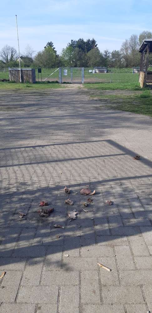 Giftköder-Evtl.Giftköder-Profilbild