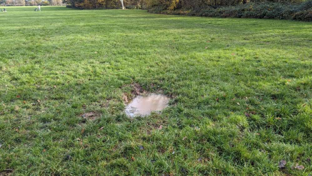 Giftköder-Verseuchte Wasserstelle- Merheimer Heide-Profilbild