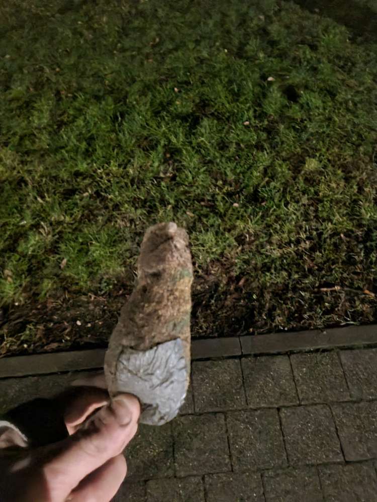 Giftköder-Giftköder am Finanzminesterium-Profilbild