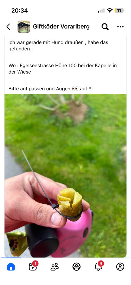 Giftköder-Giftköder-Profilbild