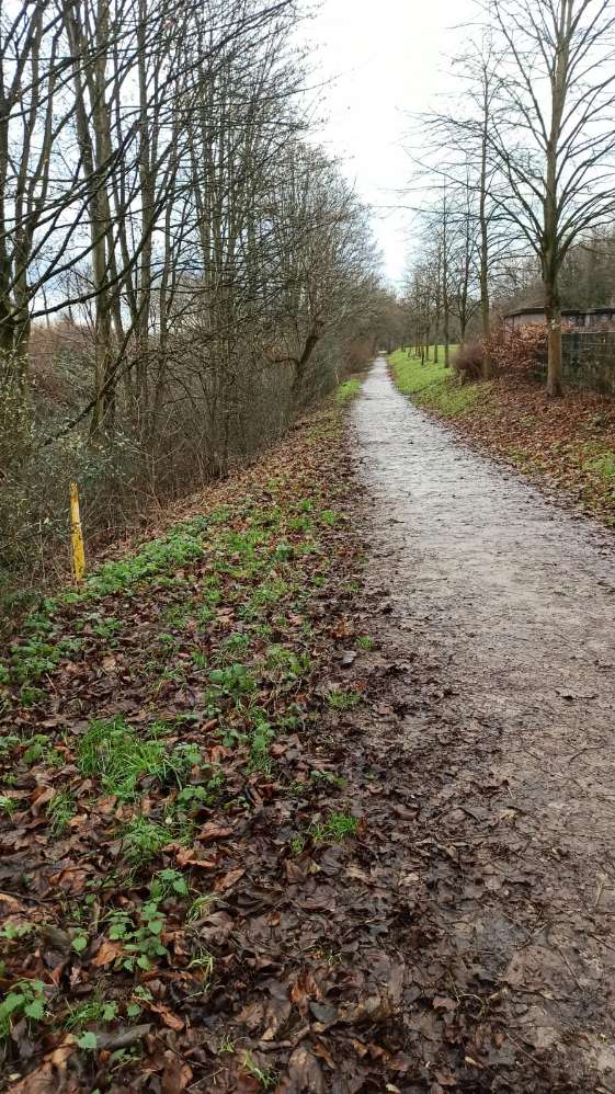 Giftköder-Möglicher Giftköder-Profilbild