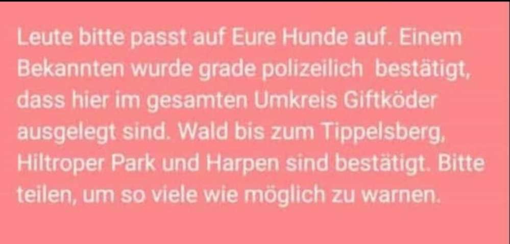 Giftköder-Giftköder-Profilbild