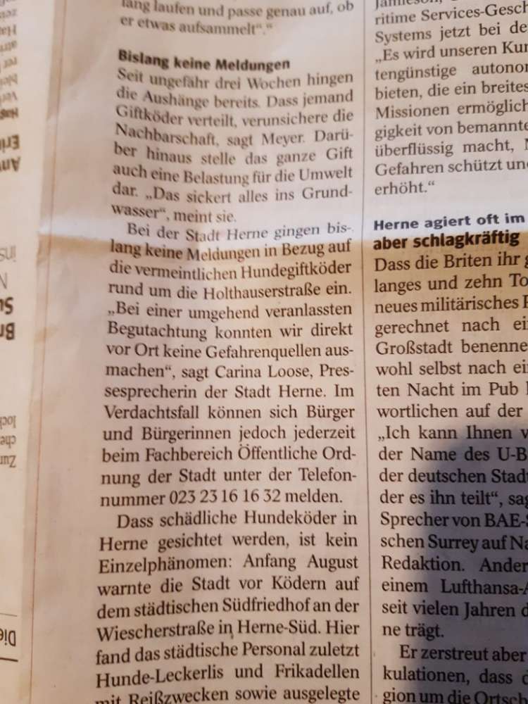 Giftköder-Giftköder-Profilbild