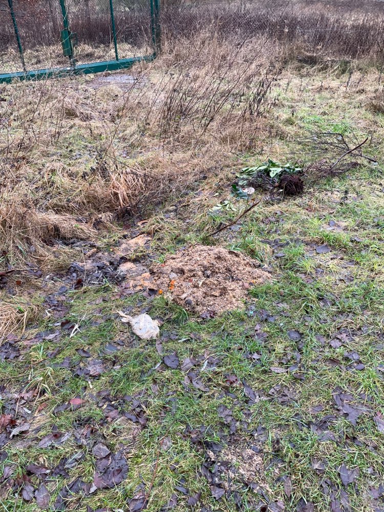 Giftköder-Lebensmittel, Müll und Tierkadaver-Profilbild