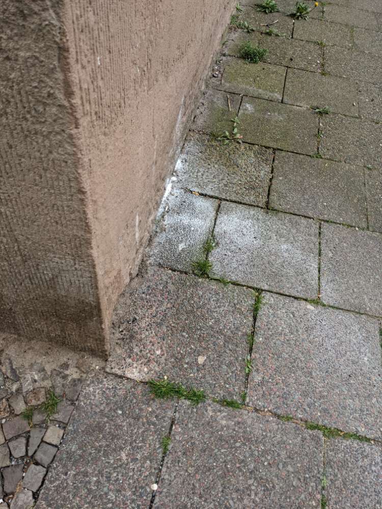 Giftköder-Blaues Pulver-Profilbild