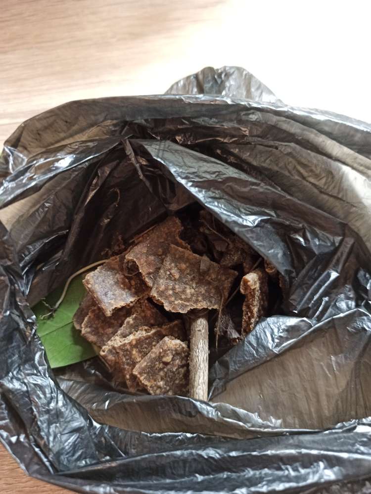 Giftköder-Kaustreifen unter einem Busch-Profilbild