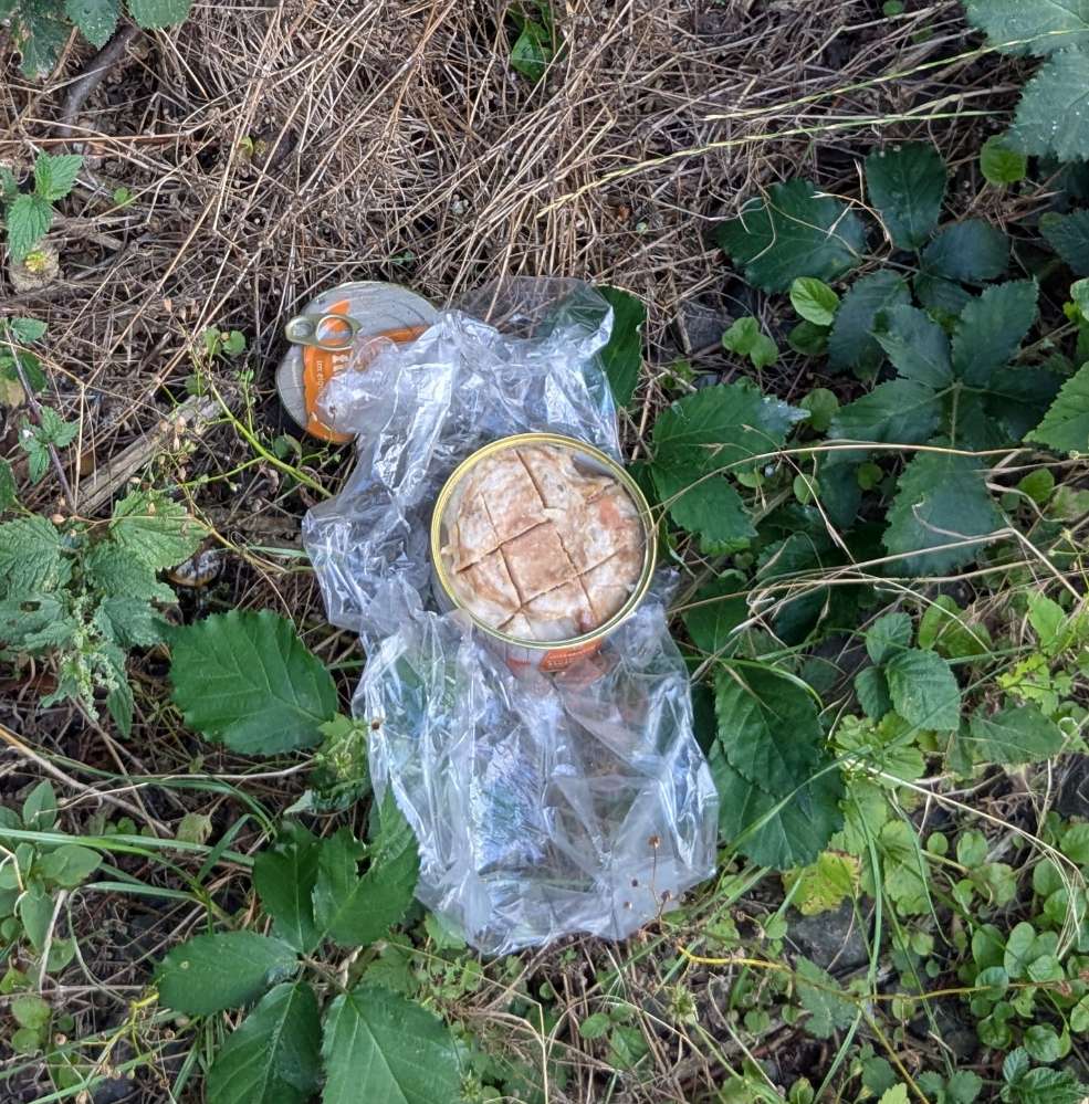 Giftköder-Giftkoder??  Präpariertes Dosenfleisch-Profilbild