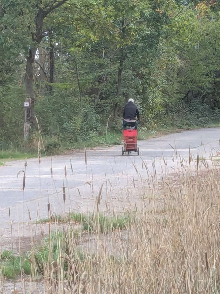 Giftköder-Belästigung durch Mann im.Wald-Profilbild