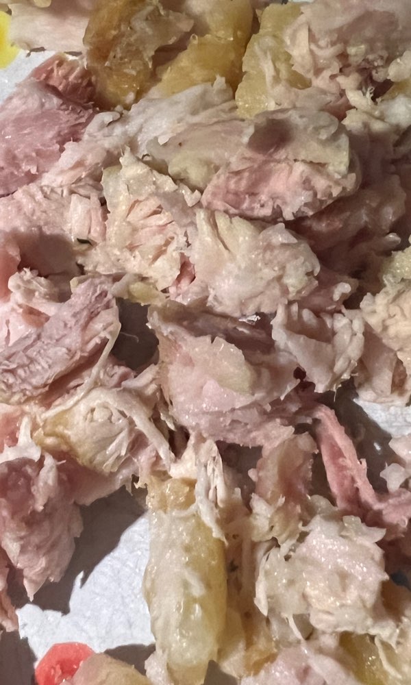 Giftköder-Köder Dummersdorfer Ufer-Profilbild