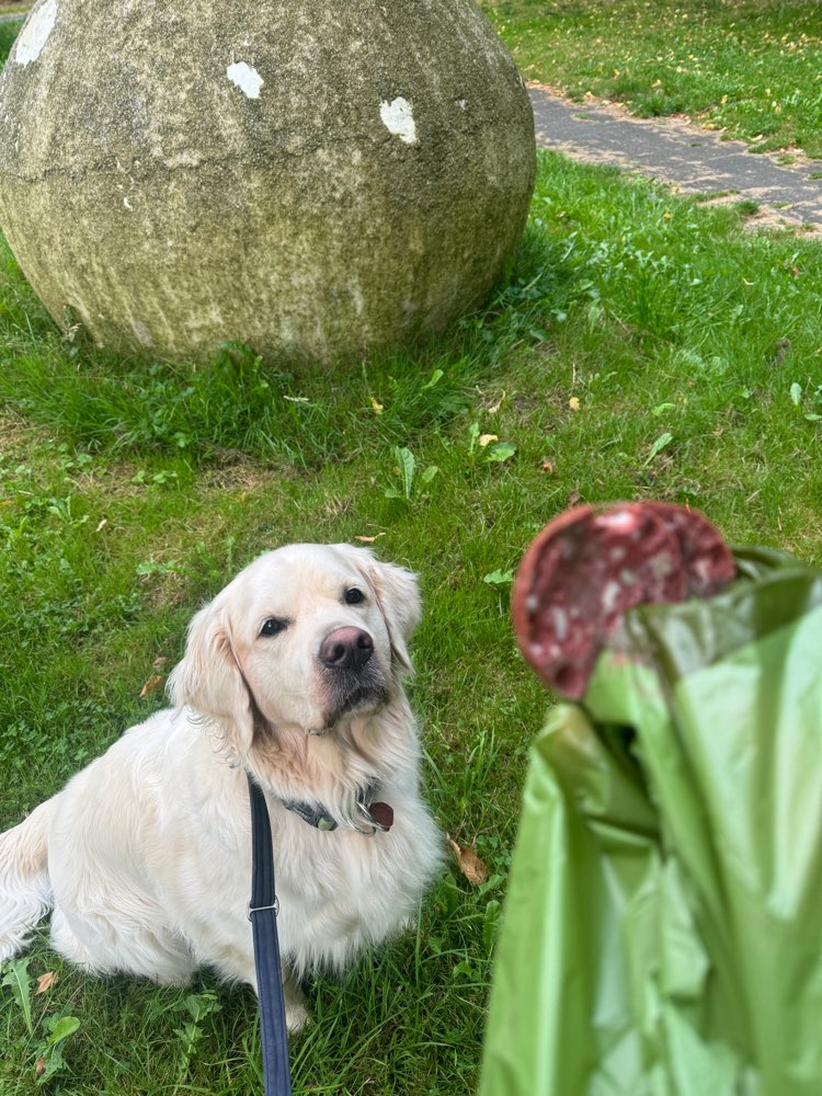 Giftköder-Viel Aufschnitt (Wurst) auf der Wiese-Profilbild