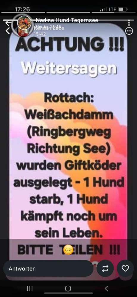 Giftköder-Giftköder-Profilbild