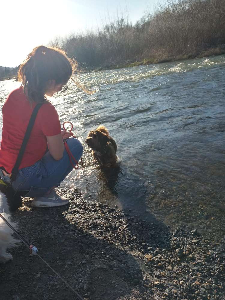 Hundetreffen-Feste Gassifreunde gesucht :-)-Profilbild