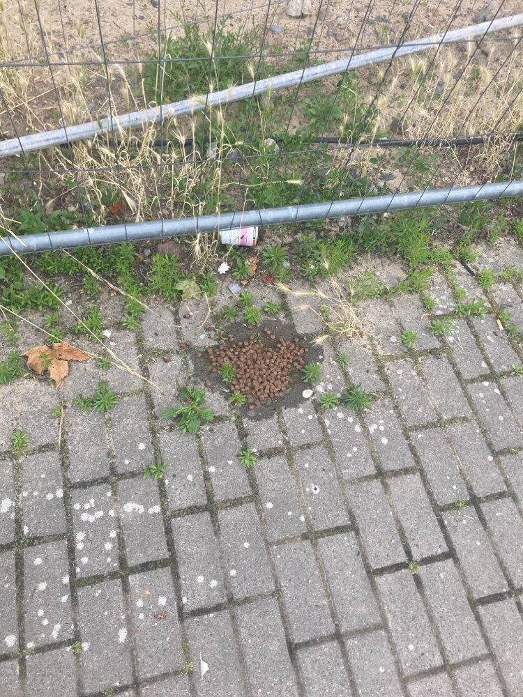 Giftköder-Vermutlich Giftköder – Nassfutter-Profilbild