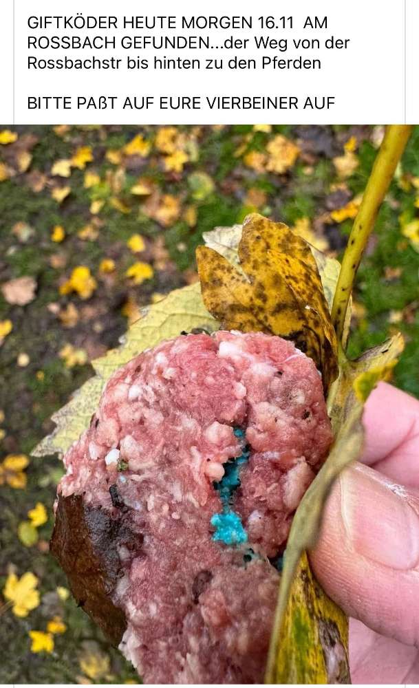 Giftköder-Giftköder-Profilbild