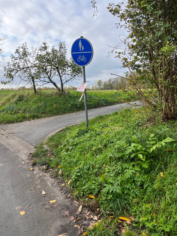 Giftköder-Giftköder-Profilbild