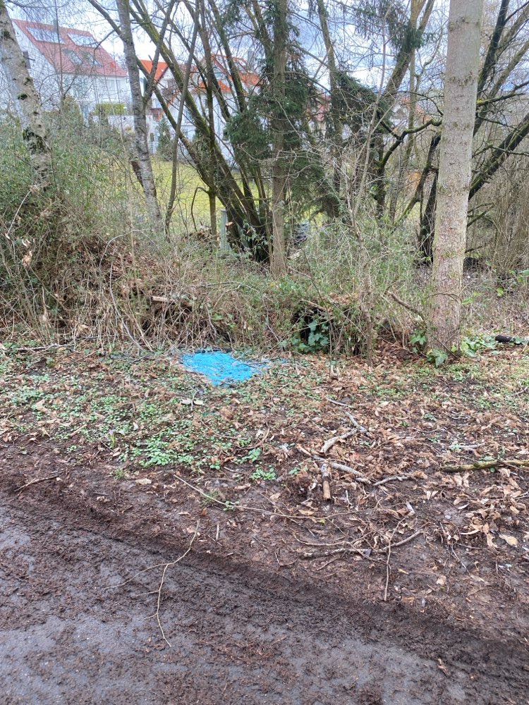 Giftköder-Rattengift im Sachsenrain-Profilbild