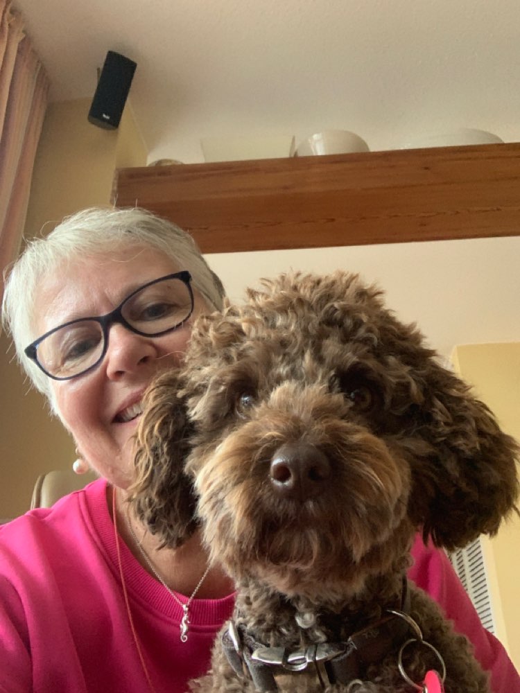 Hundetreffen-Spiel und Gassirunde in Volksdorf-Profilbild