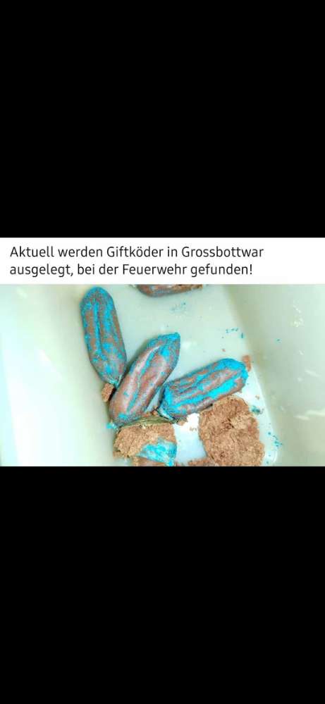 Giftköder-Giftköder-Profilbild