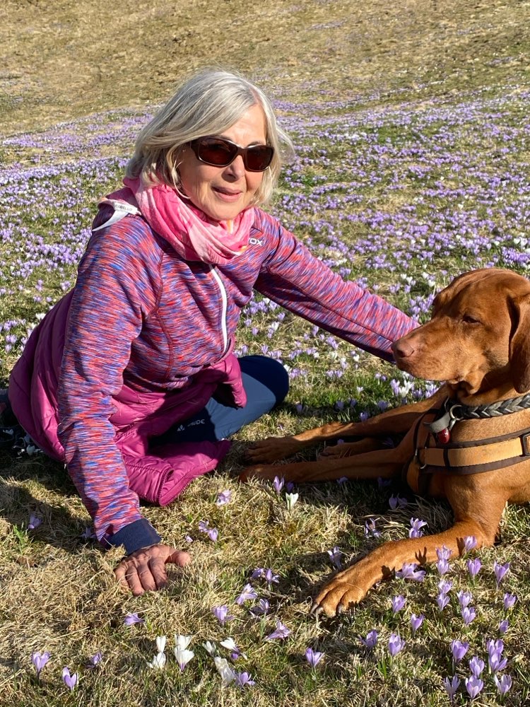 Hundetreffen-Leichte Bergwanderungen mit Hund-Profilbild