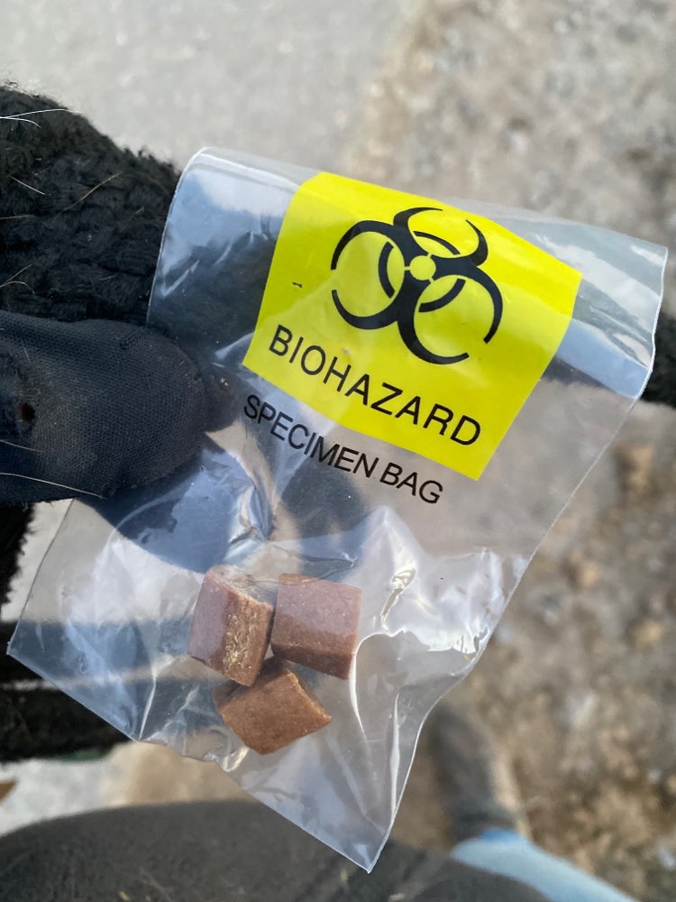 Giftköder-Undefinierbarer Köder-Profilbild