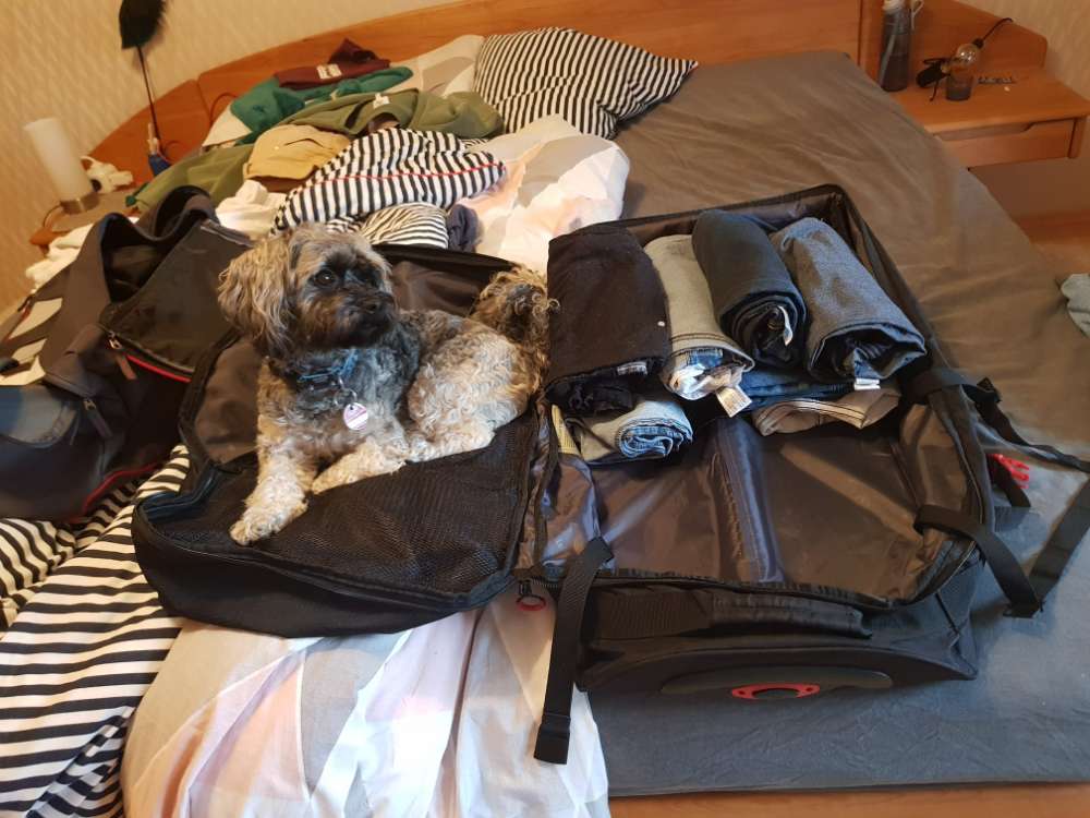 Hundetreffen-Schöne Gassi Runde-Profilbild