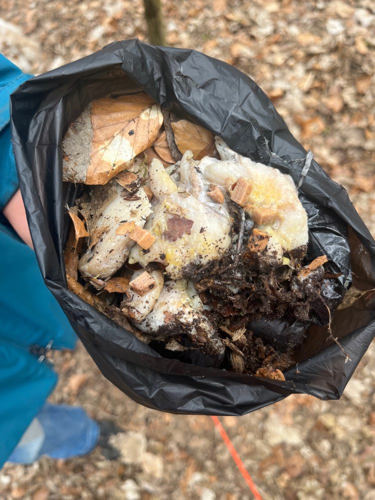 Giftköder-Giftköder-Profilbild