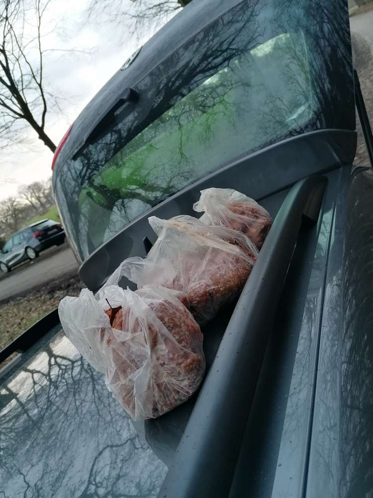 Giftköder-Hackfleisch-Profilbild
