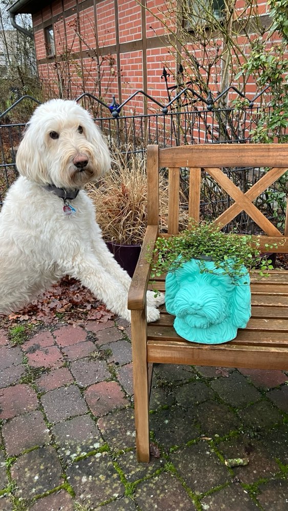 153. Farben-Challenge Banner