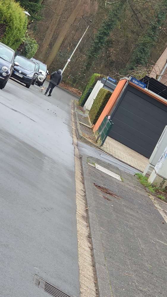 Giftköder-Besitzer Versprüht unbekanntes Zeug !!!-Profilbild