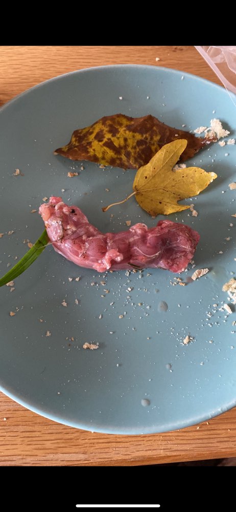 Giftköder-Evtl. Giftköder-Profilbild