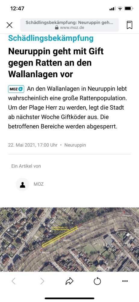 Giftköder-Rattengift-Profilbild