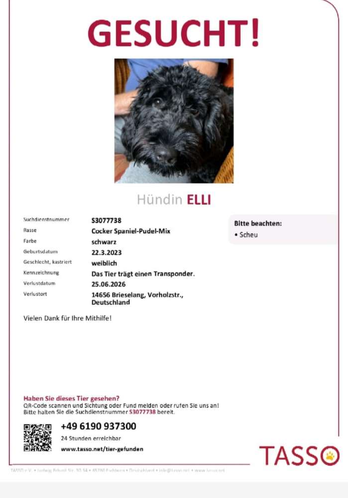 Suchmeldung-Elli-Profilbild