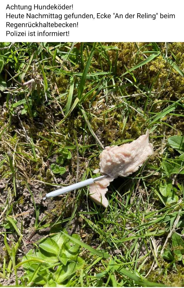 Giftköder-Fleischstück mit Gegenstand-Profilbild