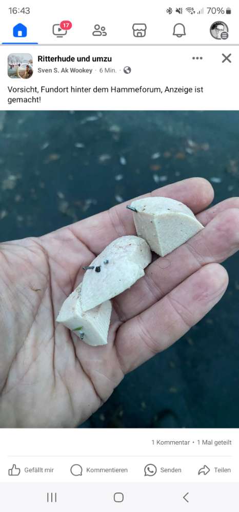 Giftköder-Fleischwurst mit Nägeln-Profilbild