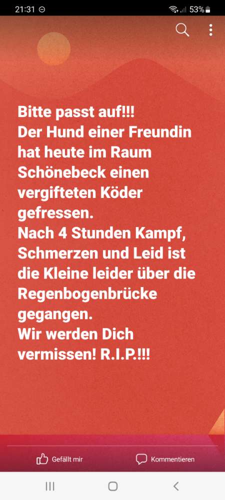 Giftköder-Giftköder-Profilbild