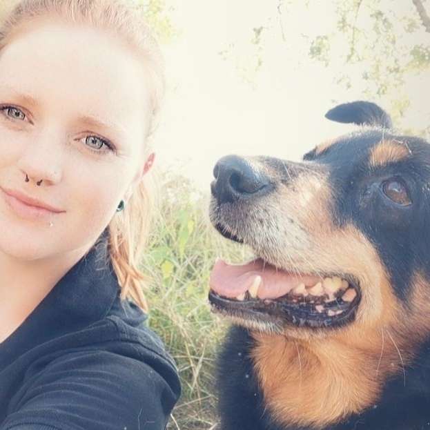Hundetreffen-Gemütliche Gassirunden-Profilbild