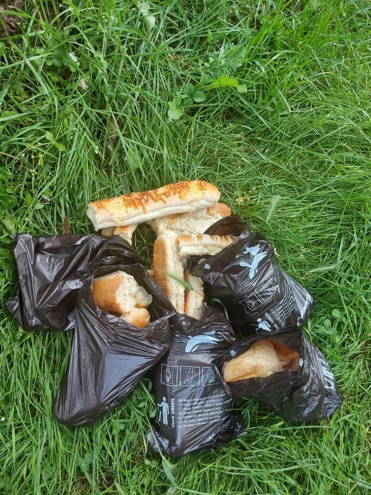 Giftköder-Ausgelegte Backwaren-Profilbild