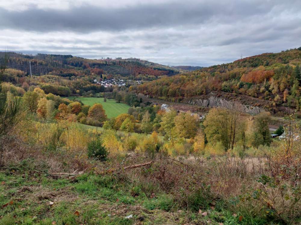 Hundetreffen-Walk&Talk-Profilbild