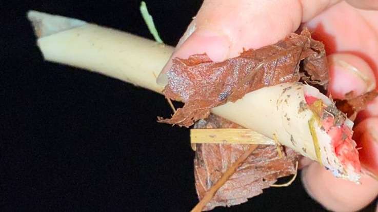 Giftköder-Knochen gefunden -Eiershausen-Profilbild