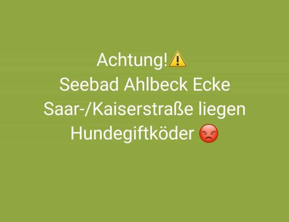 Giftköder-Giftköder-Profilbild