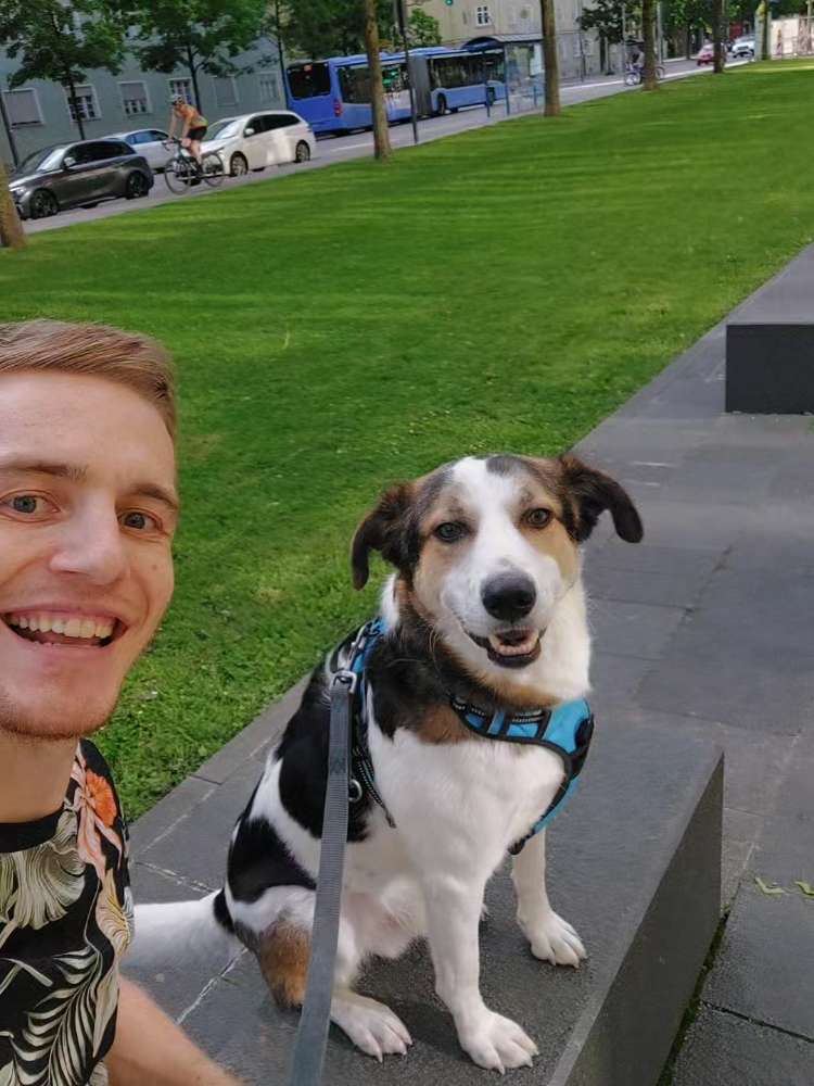 Hundetreffen-Begegnungstraining-Profilbild