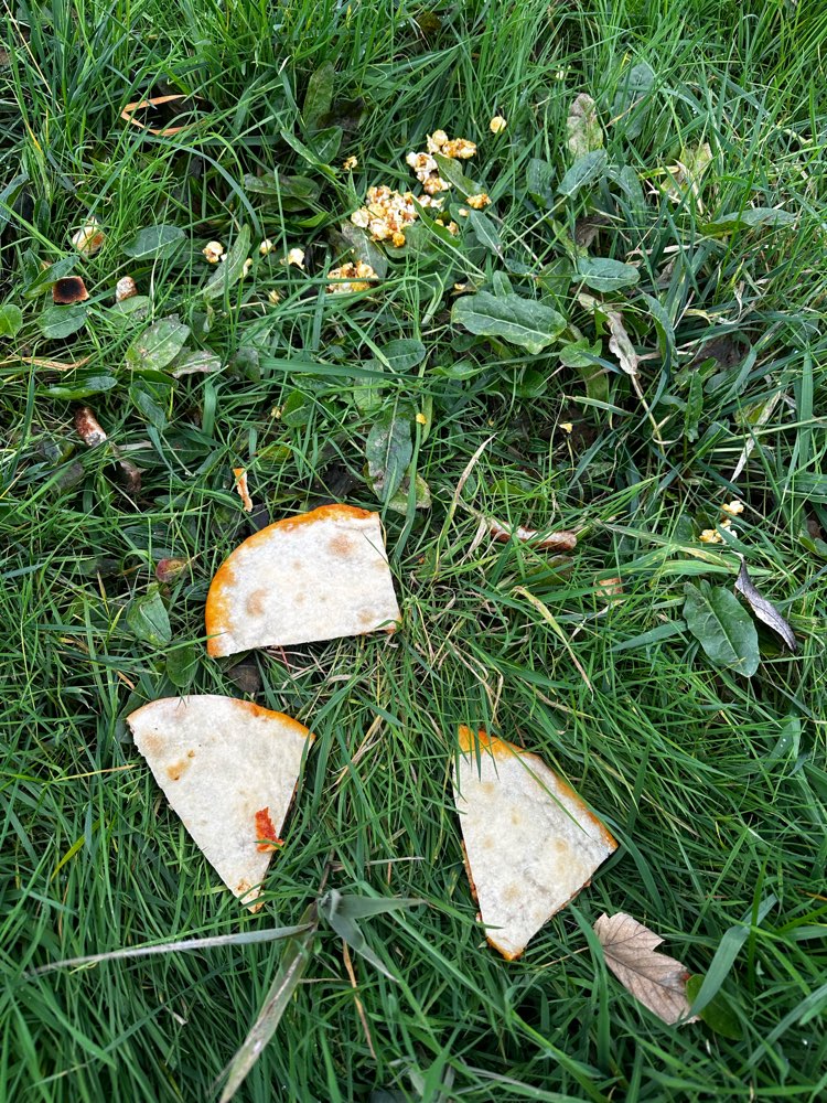 Giftköder-Essensreste in der Wiese verteilt-Profilbild