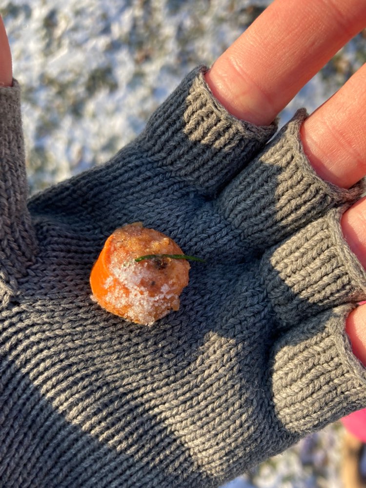 Giftköder-Möglicher Giftköder-Profilbild