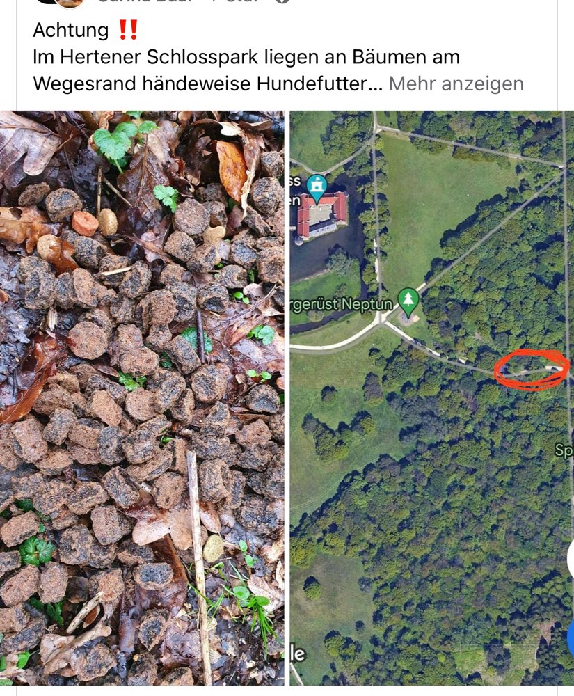 Giftköder-Handvoll Trockenfutter verteilt-Profilbild