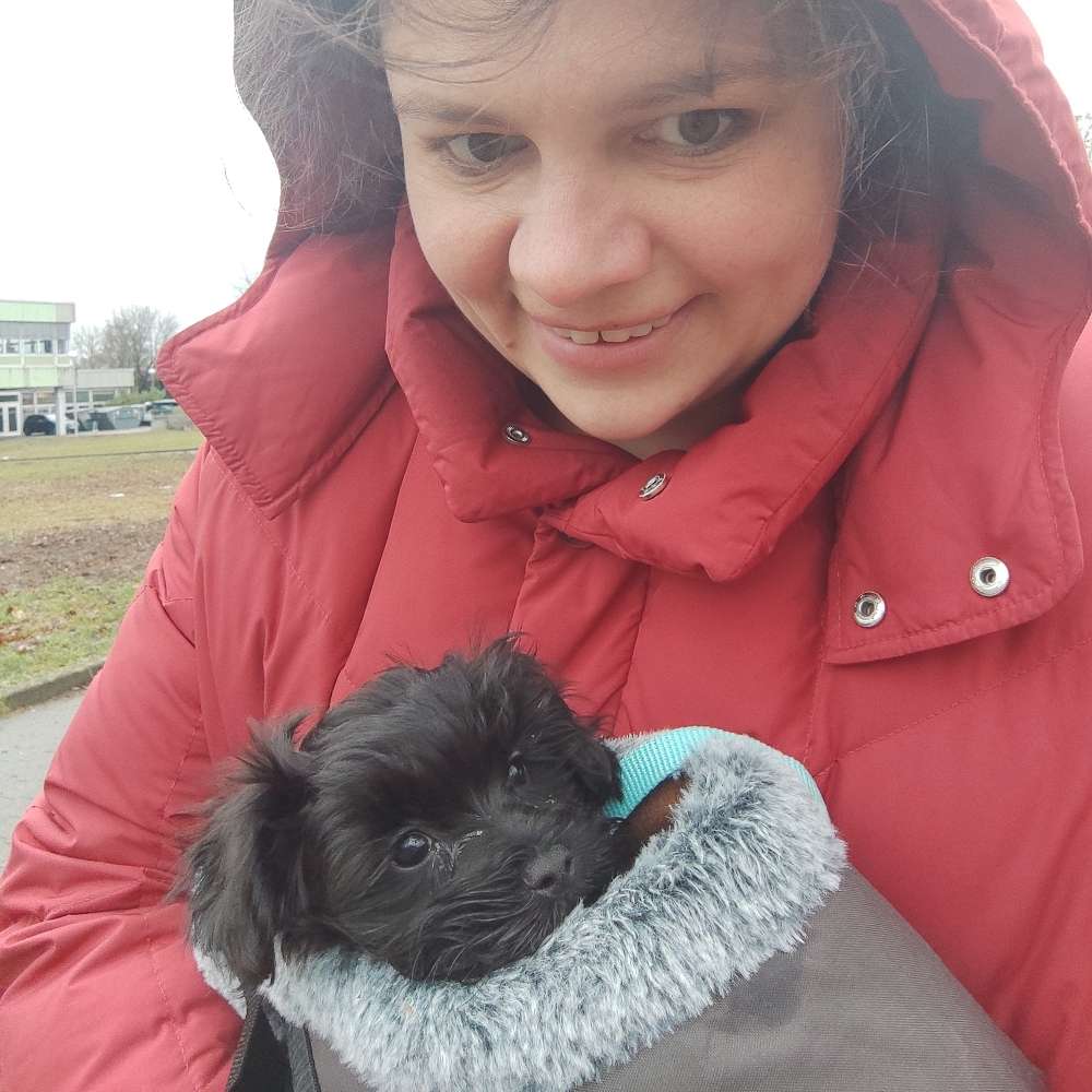 Hundetreffen-Kleine Penny braucht liebe Artgenossen Kontakt-Profilbild