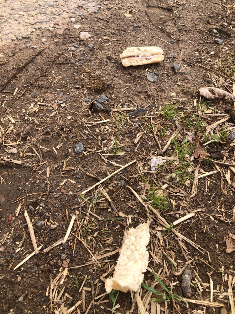 Giftköder-Wurstbrötchen-Profilbild