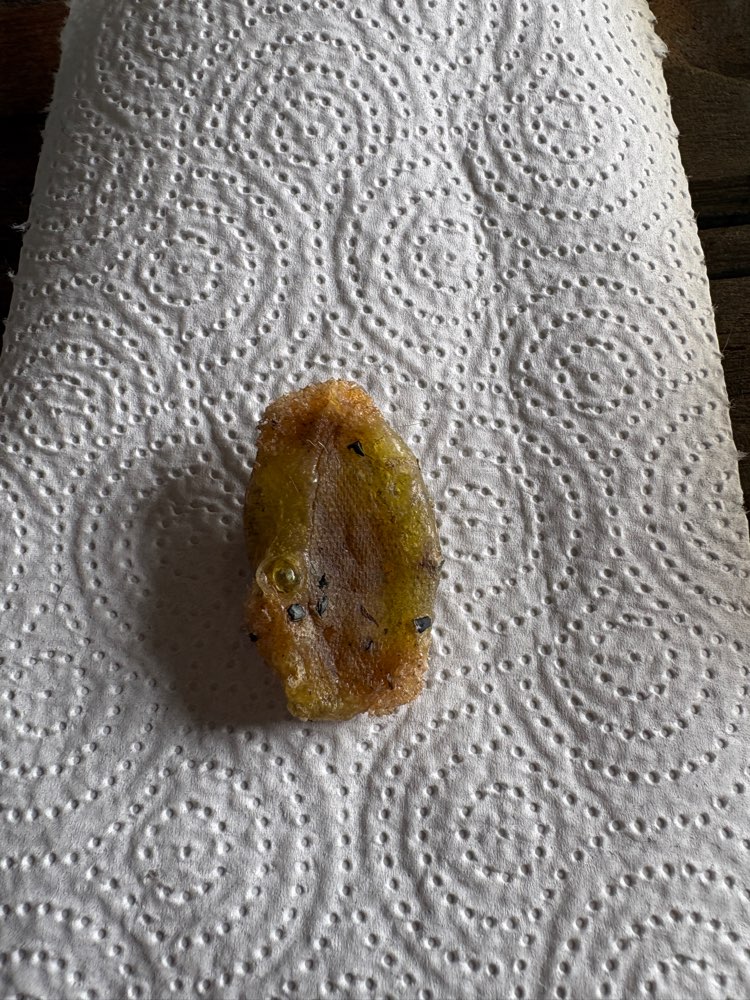 Giftköder-Giftköder-Profilbild