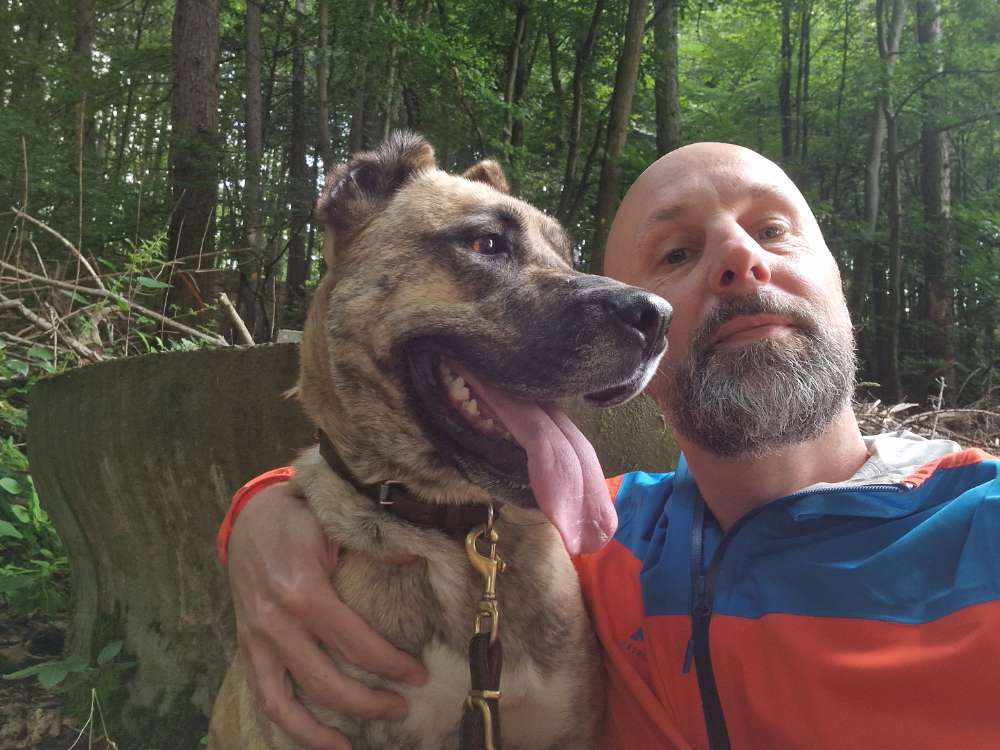 Hundetreffen-Freunde für Spaziergänge gesucht-Profilbild